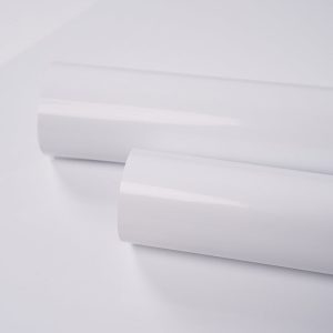 INKJET PVC GLOSS WHITE A4 (10/PACK)